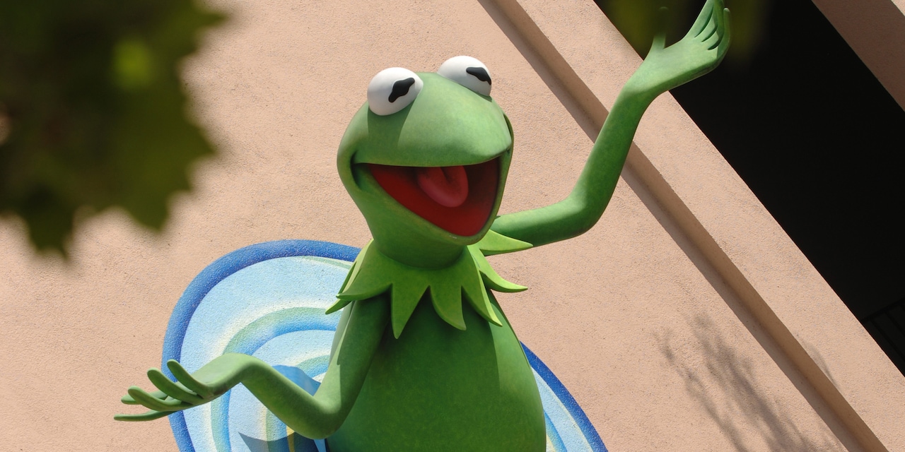 The famous Muppet, Kermit the Frog The famous Muppet, Kermit the Frog