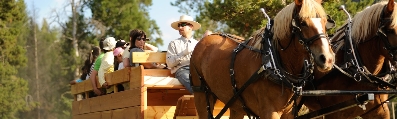 A wagon ride with 2 horses, a driver and several passengers A wagon ride with 2 horses, a driver and several passengers