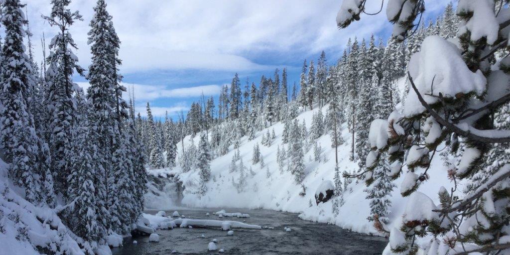 Pine trees stand on snow covered mountains that flank a creek Pine trees stand on snow covered mountains that flank a creek