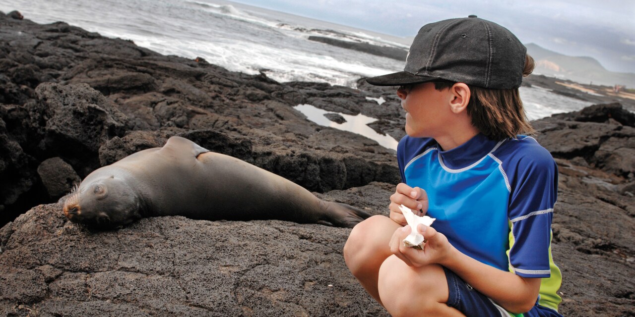 A boy squatting on a rock next to a seal A boy squatting on a rock next to a seal