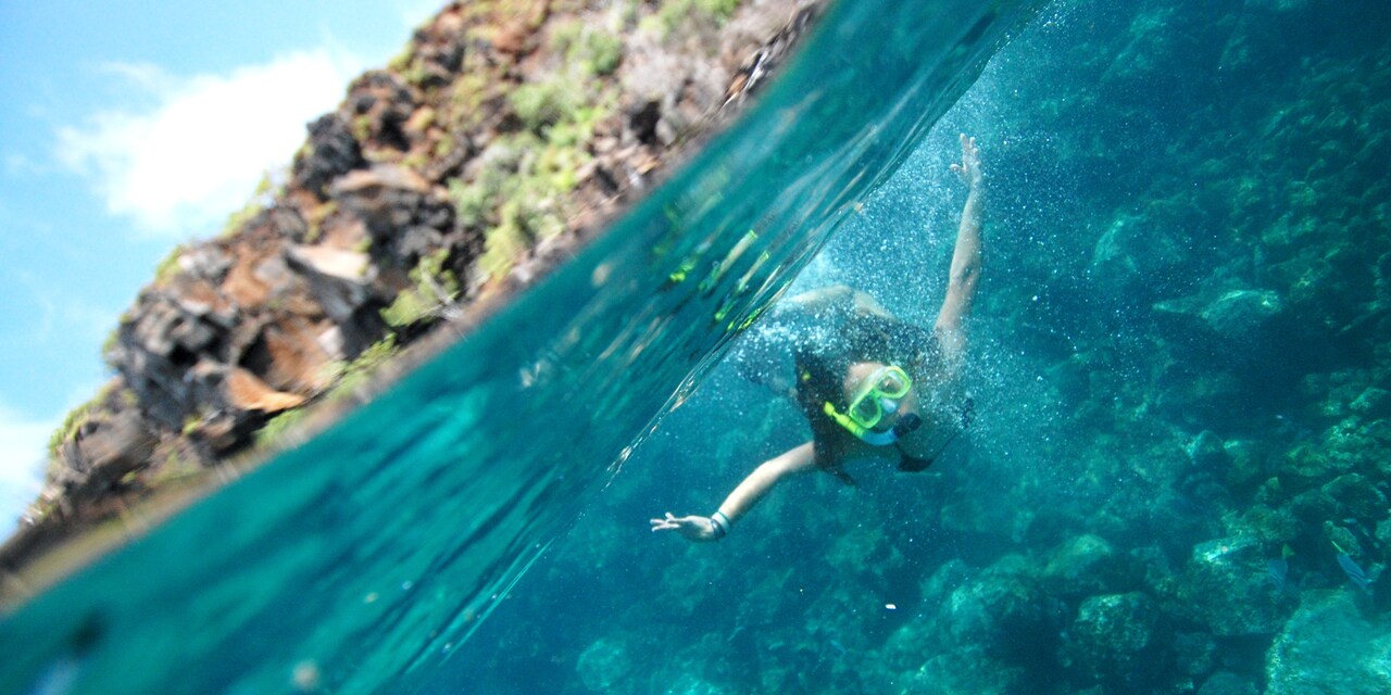 A girl snorkeling under water