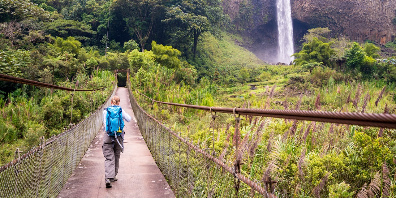 A girl with a backpack walks across a rope bridge over a lush rainforest A girl with a backpack walks across a rope bridge over a lush rainforest