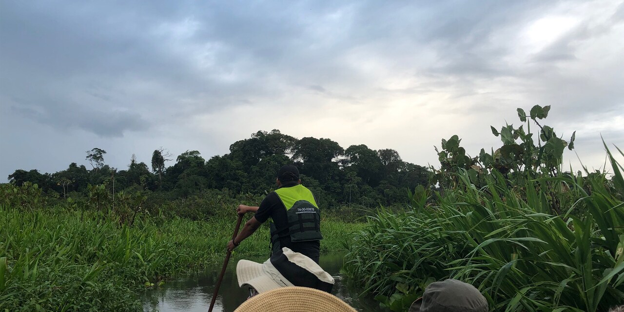 Man wearing a vest paddles a canoe with Guests through a marshy area of the Amazon Man wearing a vest paddles a canoe with Guests through a marshy area of the Amazon