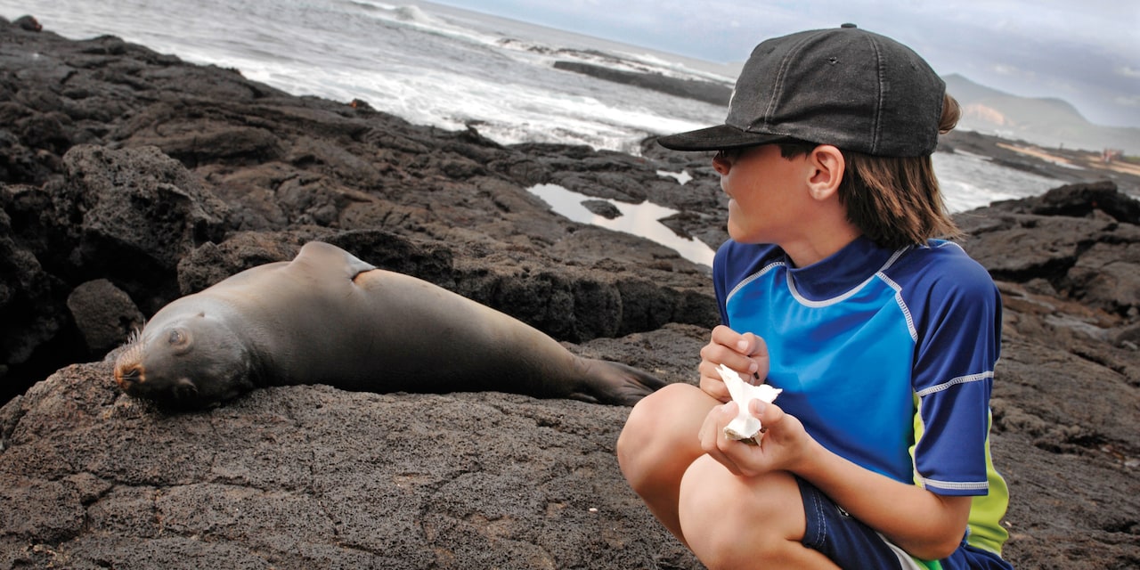 A young boy sits on a rock next to a seal that is lying on the rock A young boy sits on a rock next to a seal that is lying on the rock