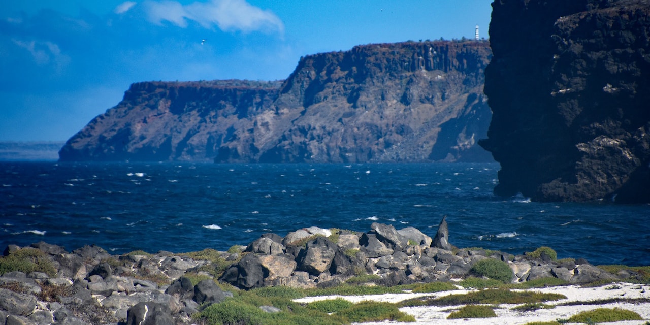 The rocky coastline of Mosquera Island The rocky coastline of Mosquera Island