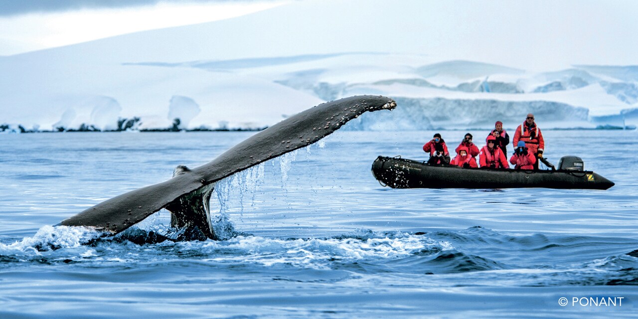 Eight people on a Zodiac boat take pictures of a whale tail breaching the surface of the water