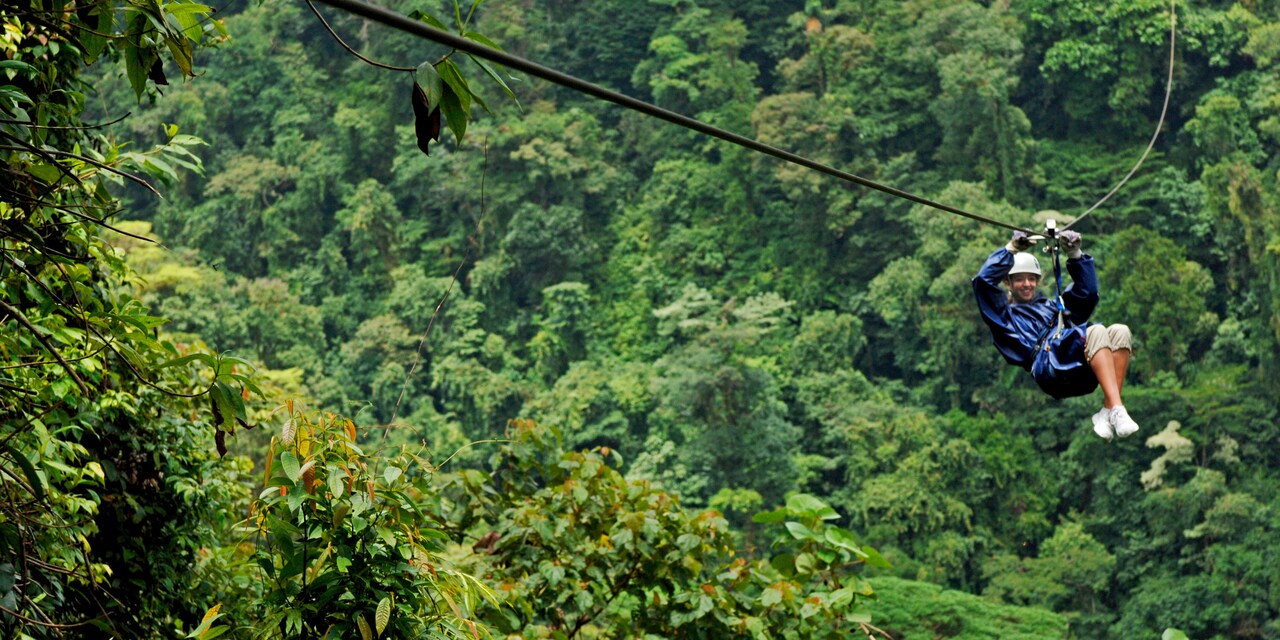 A tourist zip lines through the rainforest