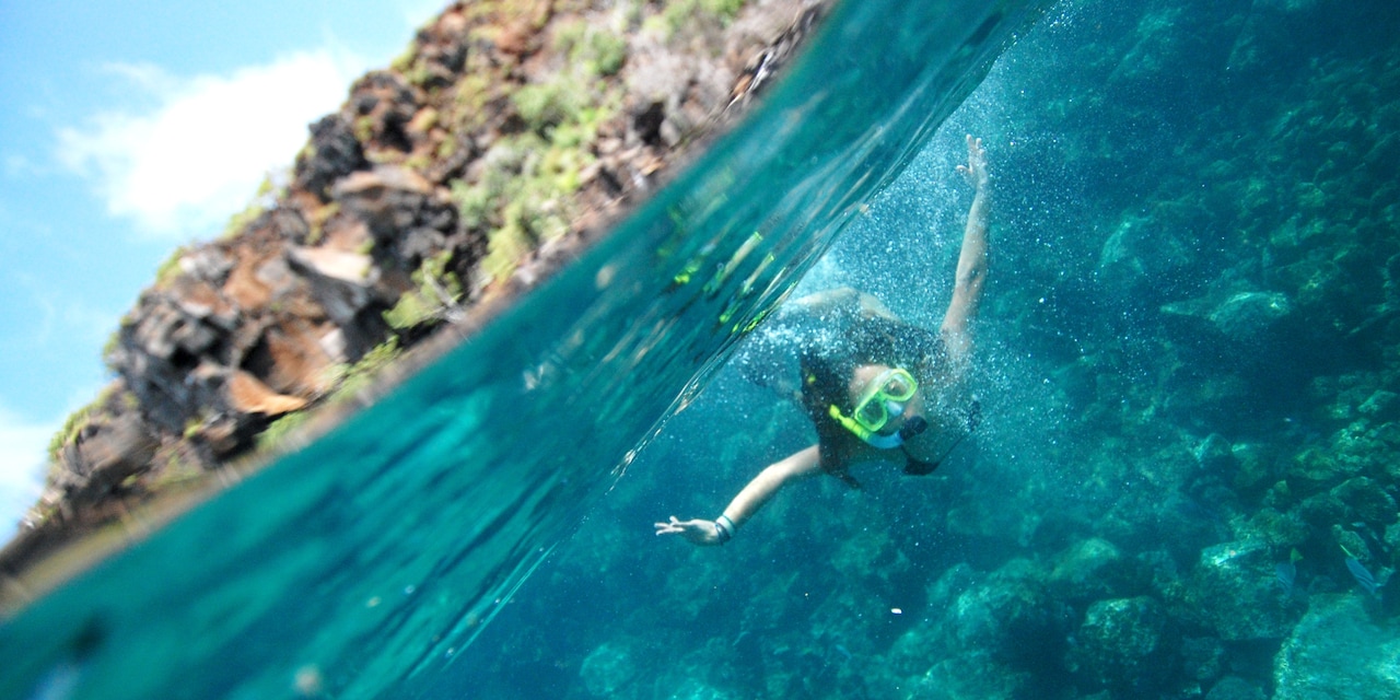 A girl snorkels underwater A girl snorkels underwater