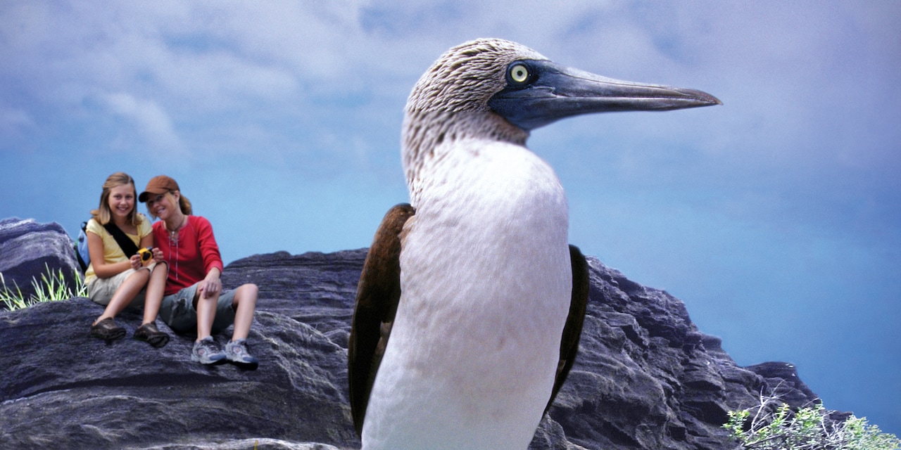 2 girls sit on a rock, eyeing a rare bird 2 girls sit on a rock, eyeing a rare bird
