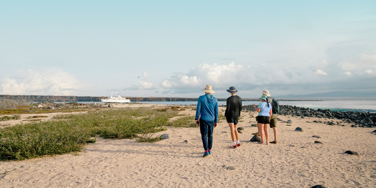 Four people on the sand near a rocky beach with a cruise ship in the distance Four people on the sand near a rocky beach with a cruise ship in the distance