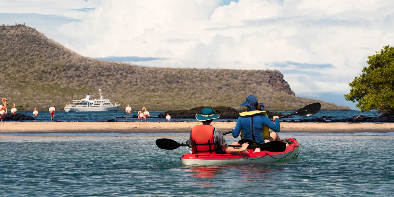 Two people paddle a kayak in a bay near several flamingos with a cruise ship in the distance Two people paddle a kayak in a bay near several flamingos with a cruise ship in the distance