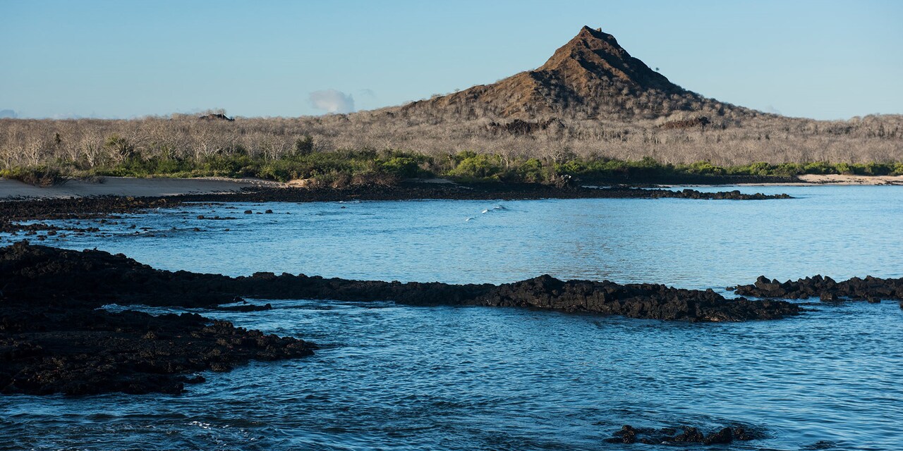 A cove featuring a bush-covered hill and a sandy beach with rocks A cove featuring a bush-covered hill and a sandy beach with rocks