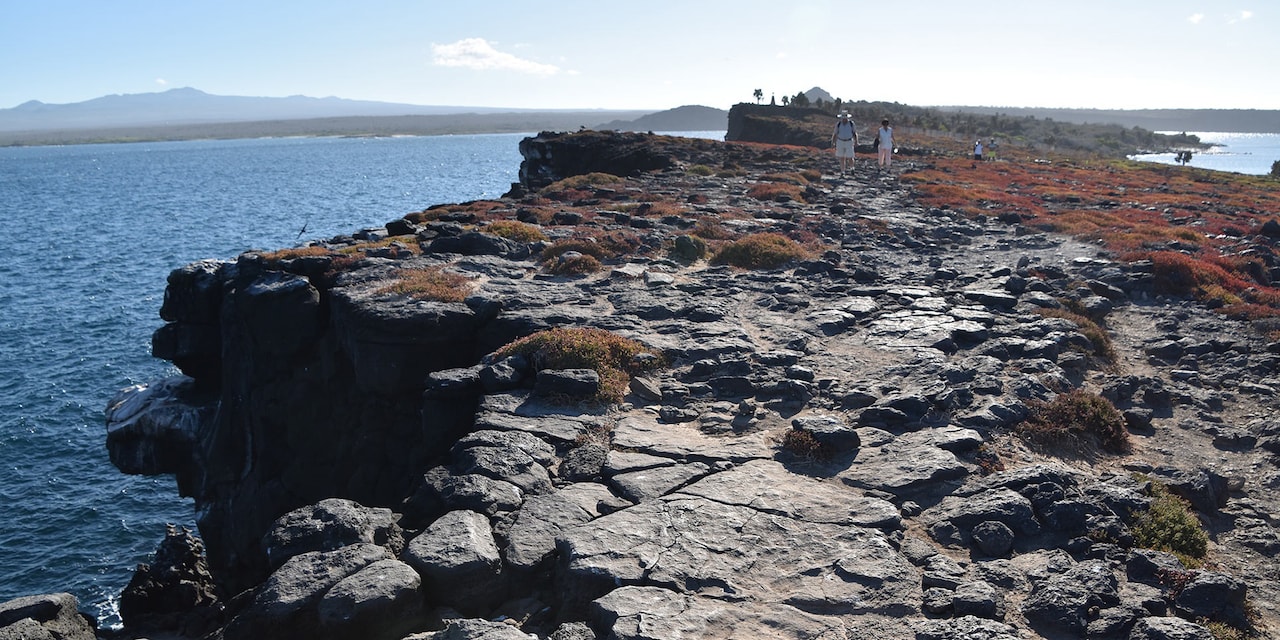 Two people walking along a volcanic rocky path next to the ocean