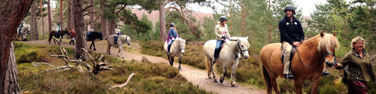A group rides horses along a trail