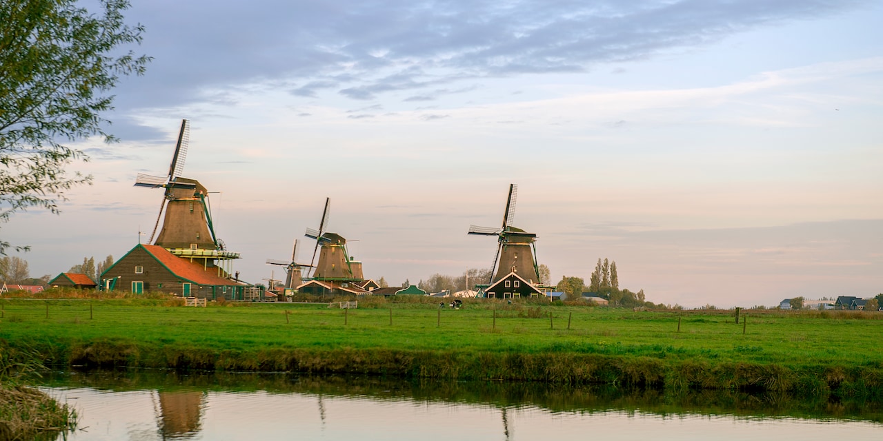 Windmills along a grassy waterway Windmills along a grassy waterway