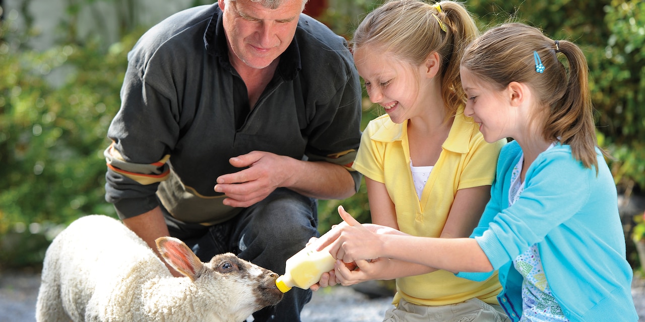 A father and his two daughters feed a lamb from a bottle at Rathbaun Farm A father and his two daughters feed a lamb from a bottle at Rathbaun Farm