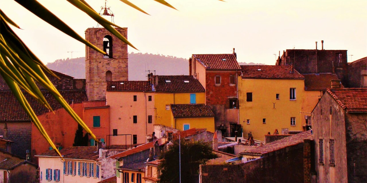 A cluster of buldings and a bell tower in the town of Toulon, France at sunset with palm leaves in the foreground A cluster of buldings and a bell tower in the town of Toulon, France at sunset with palm leaves in the foreground