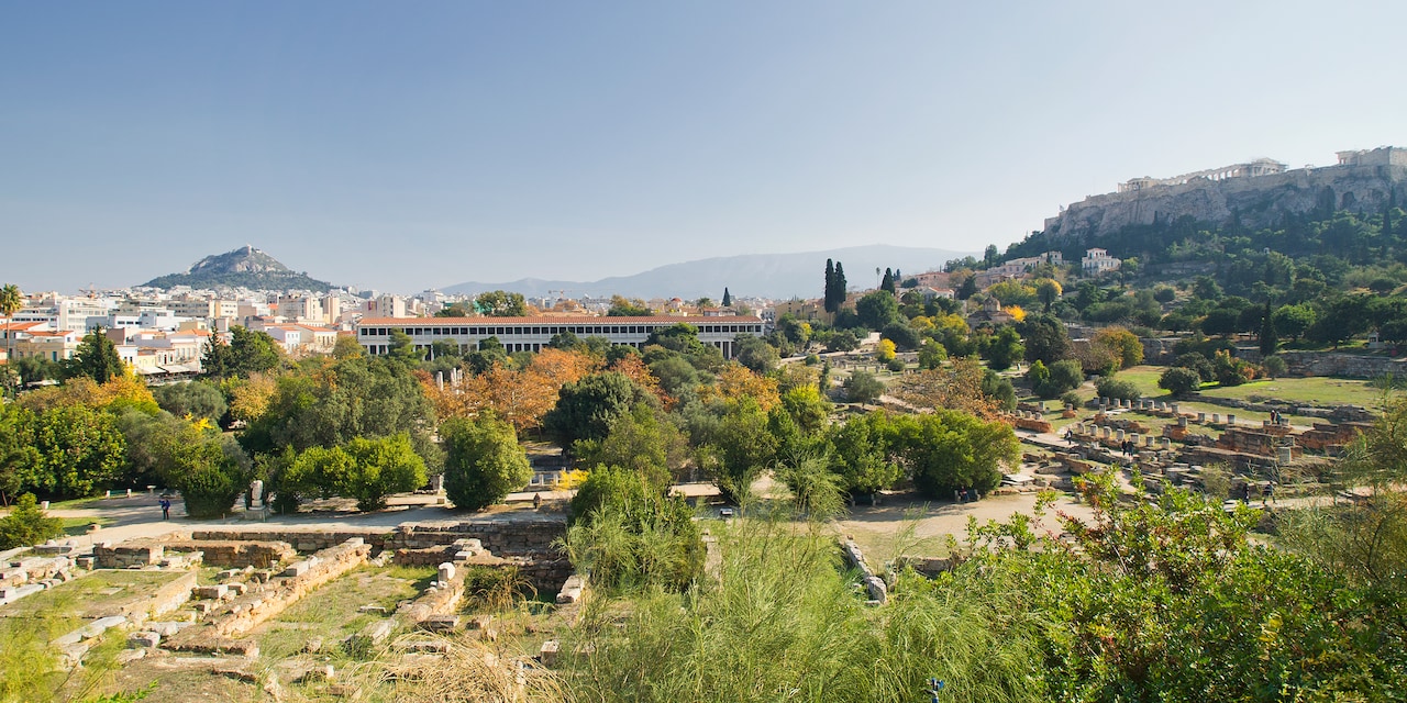 A field with olive trees and the city of Athens, Greece in the distance A field with olive trees and the city of Athens, Greece in the distance
