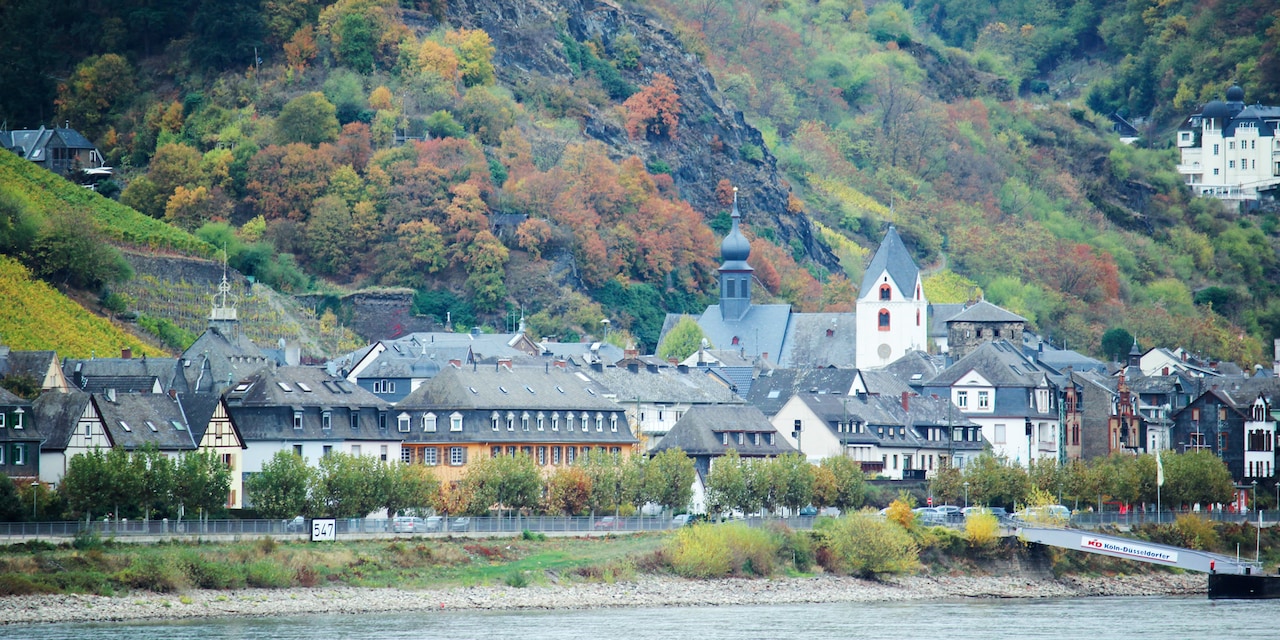 Buildings in the town of Rüdesheim, Germany nestled between the banks of the Rhine River and at the base of a tree lined hillside