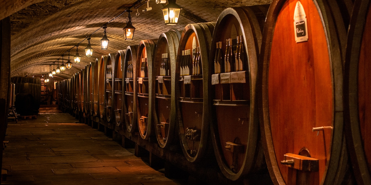 A row of large, wooden wine barrels in a wine cave lit by a string of lanterns