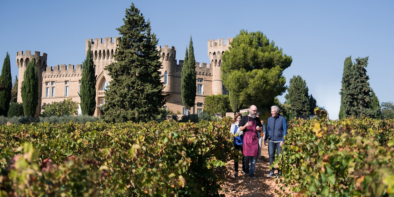People walk amongs the vines at a vineyard in Tournon People walk amongs the vines at a vineyard in Tournon
