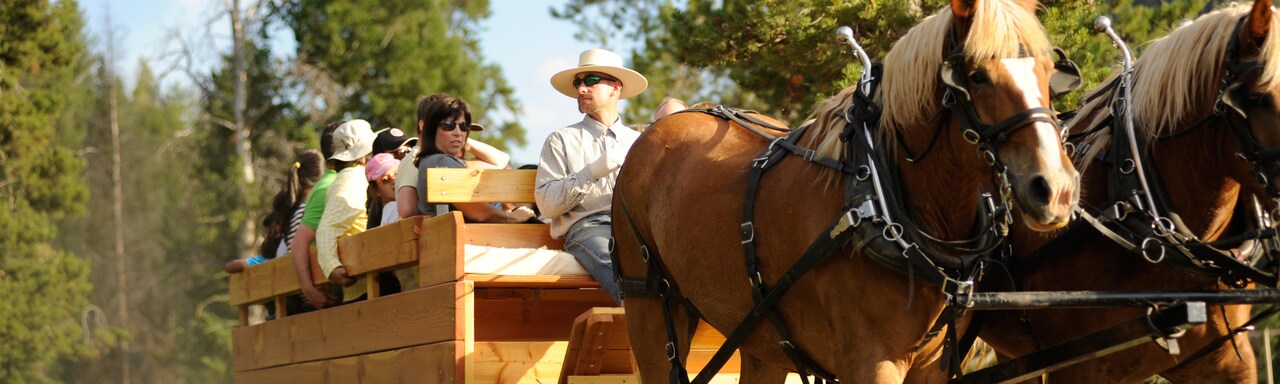 A wagon ride with 2 horses, a driver and several passengers A wagon ride with 2 horses, a driver and several passengers