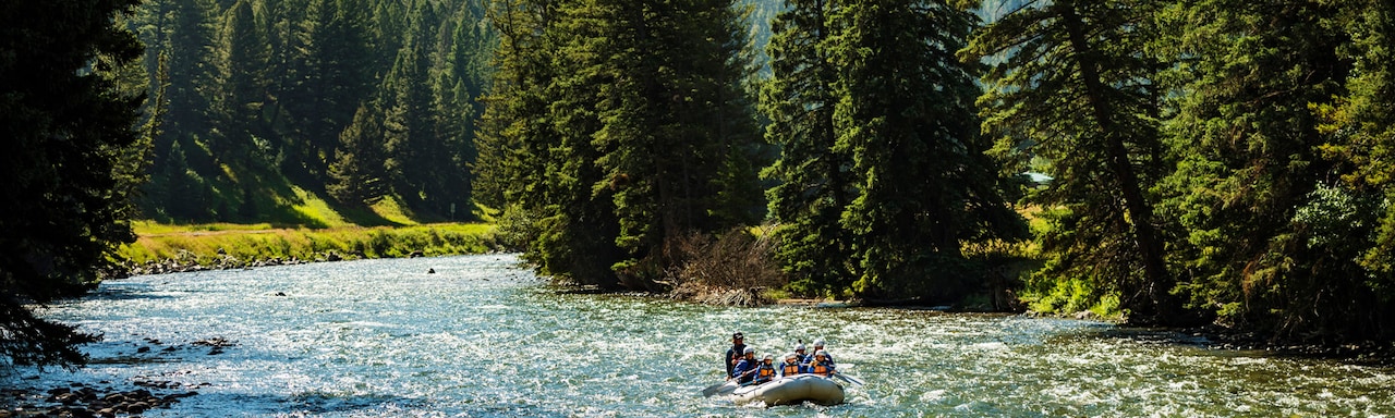 A group of people rafting on a river that flows through tree lined mountains