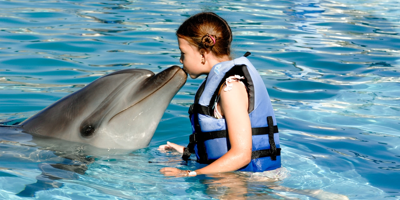 A young girl wearing a life vest gives a dolphin a kiss on its nose A young girl wearing a life vest gives a dolphin a kiss on its nose