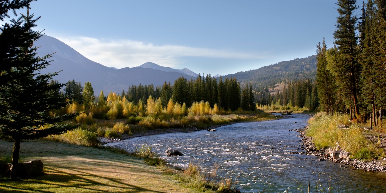 Mountains near a flowing river whose banks are lined with pine trees Mountains near a flowing river whose banks are lined with pine trees