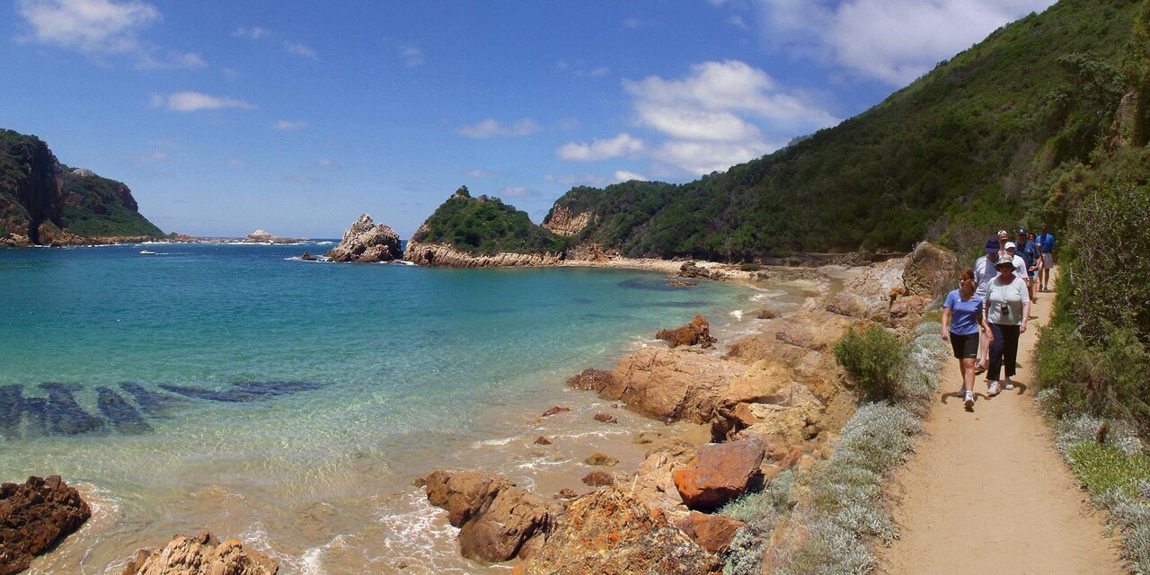 South Africa Safari & Tours | Adventures by Disney