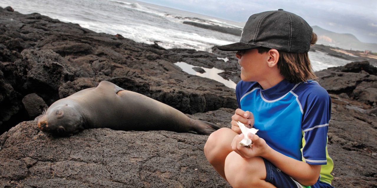 A boy squatting on a rock next to a seal