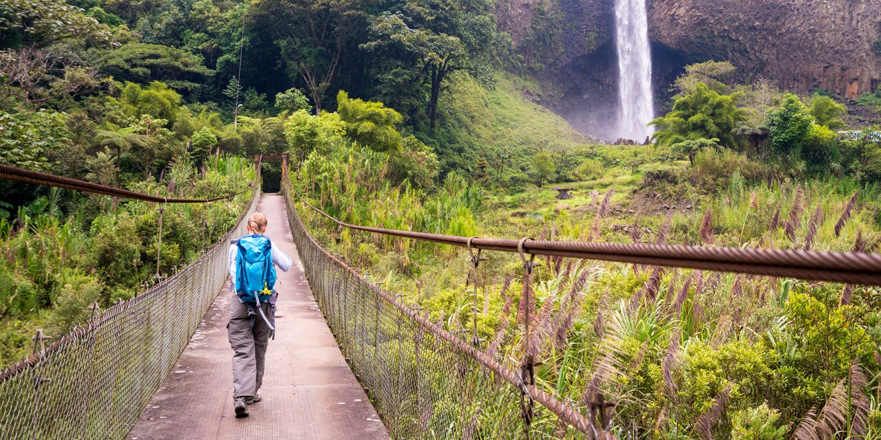A girl with a backpack walks across a rope bridge over a lush rainforest A girl with a backpack walks across a rope bridge over a lush rainforest