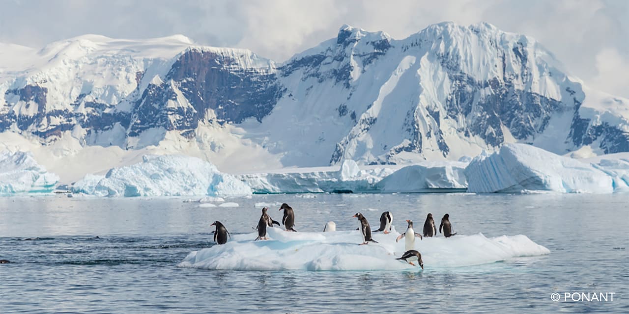 A waddle of penguins on a small iceberg in a strait by the continent of Antarctica