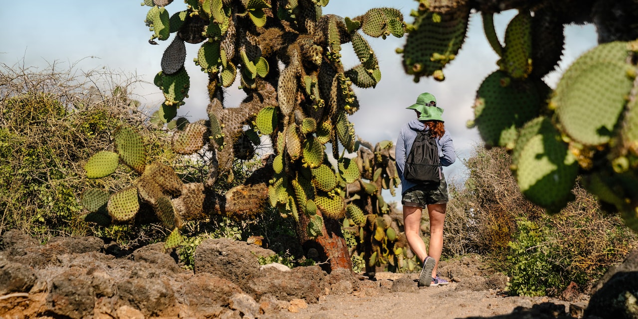 A woman wearing a hat and backpack hikes along a path near cacti and other plants 