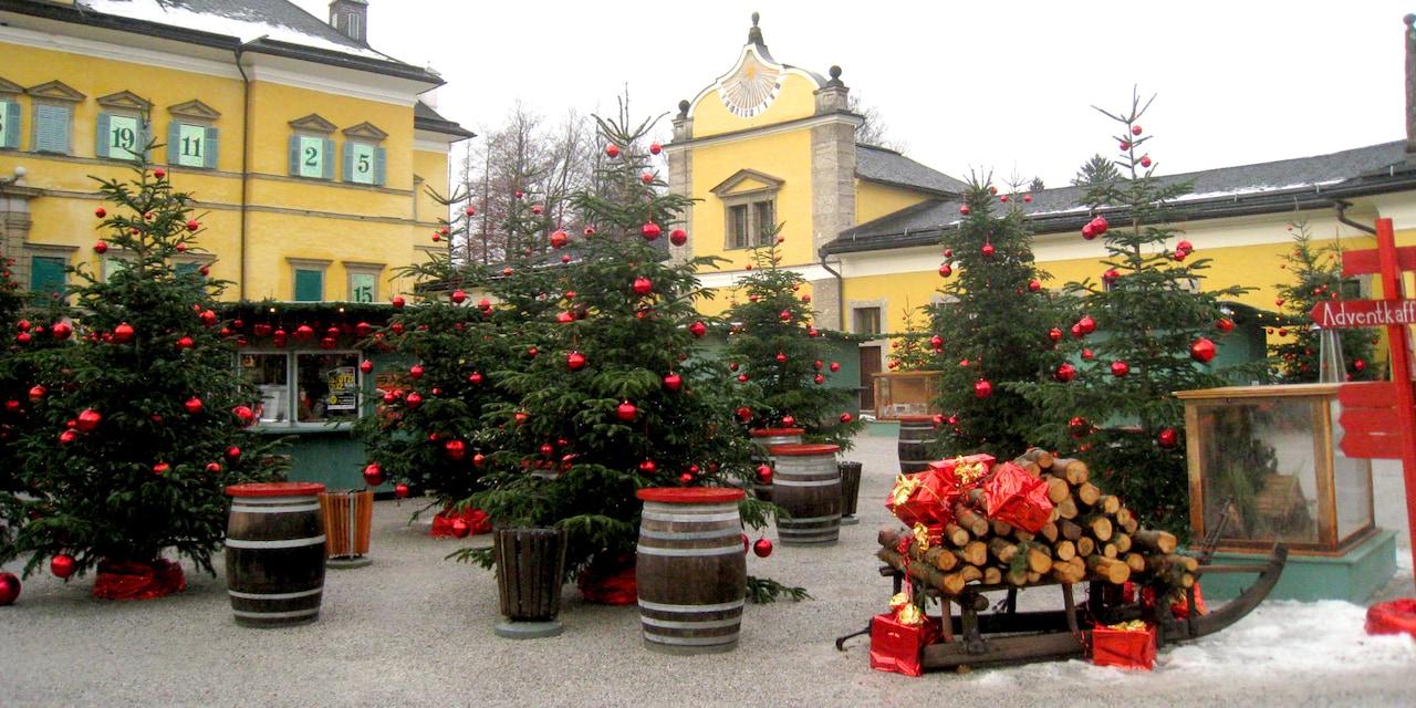 Decorated Christmas trees in a square flanked by buildings
