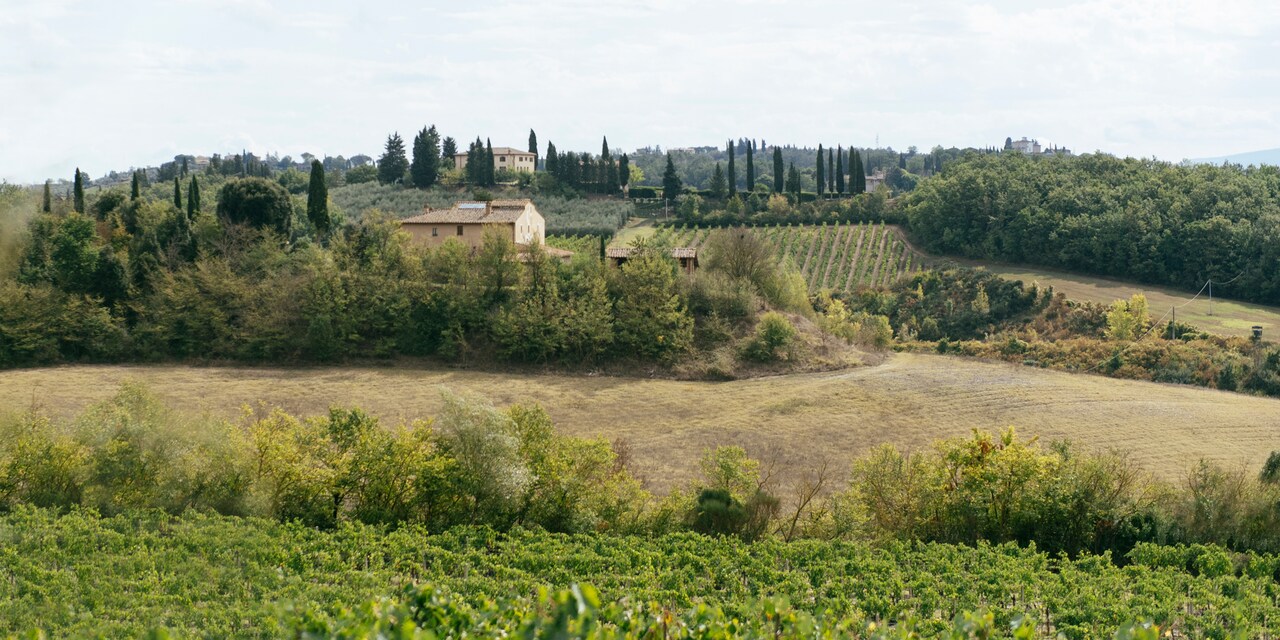 Farmhouses at the top of a hill surrounded by green farmland and fields in Tuscany