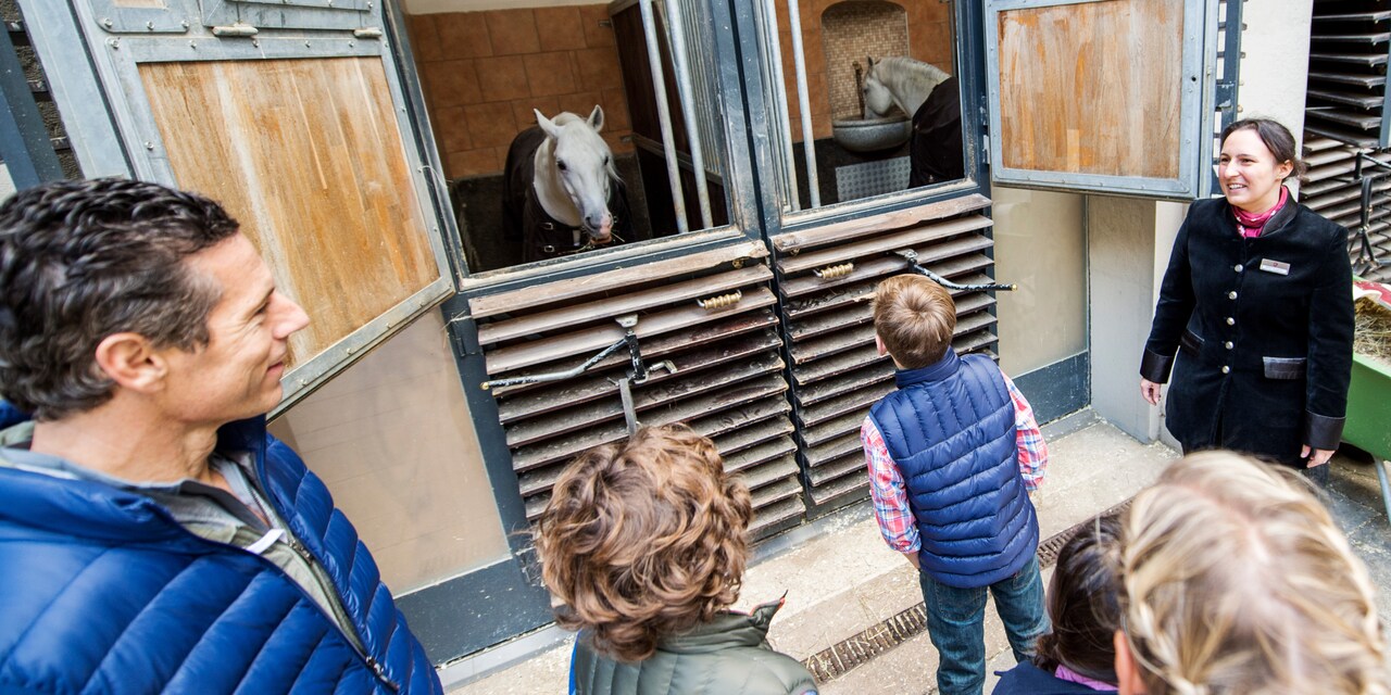 An Adventure Guide shows a family 2 horses standing in their stables