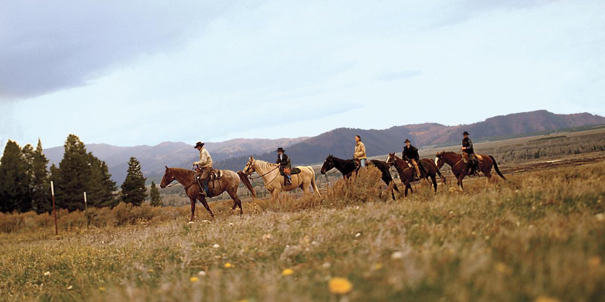 Five people on horseback ride across a grassy plain