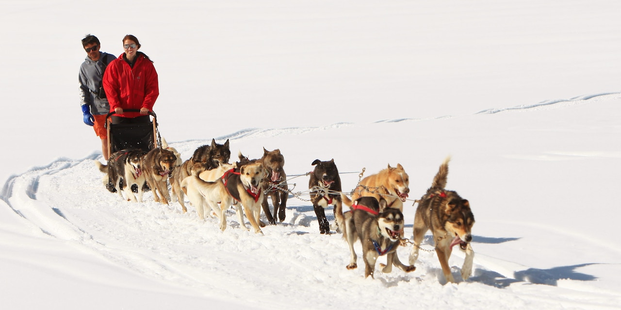 2 people on an Iditarod style dog sled led by 10 dogs