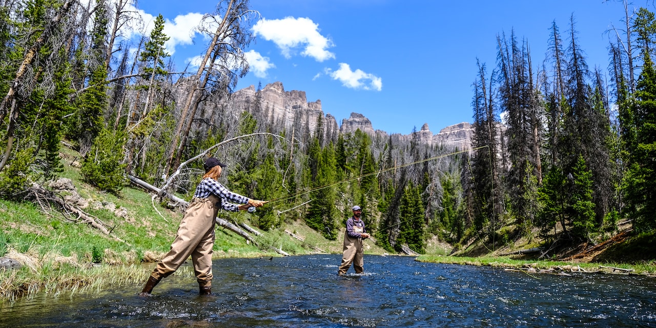 Two people wearing waders fly fish in a river
