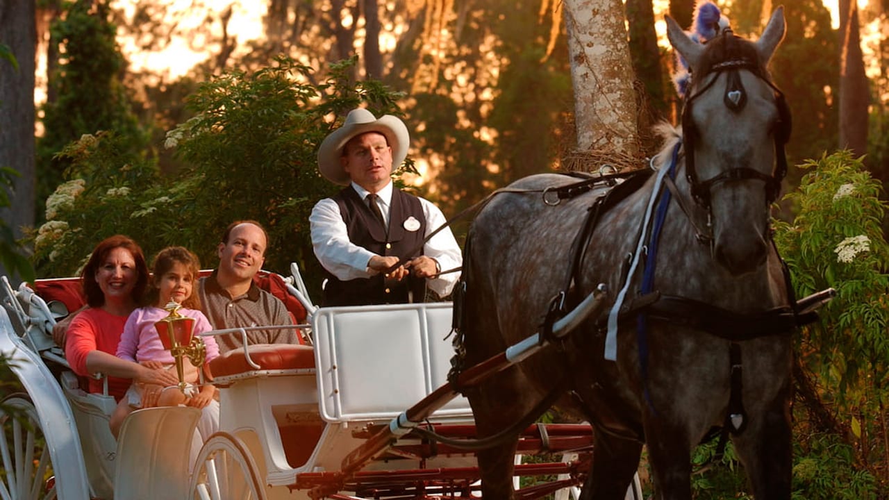 Horse-Drawn Carriage Rides at Disney's Fort Wilderness Resort & Campground at Walt Disney World