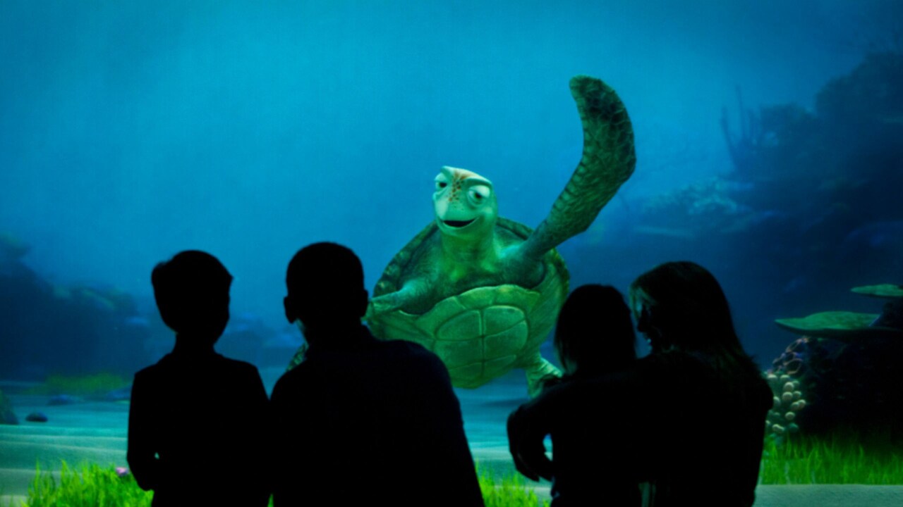 A family of 4 looking at Crush through the glass at Turtle Talk with Crush