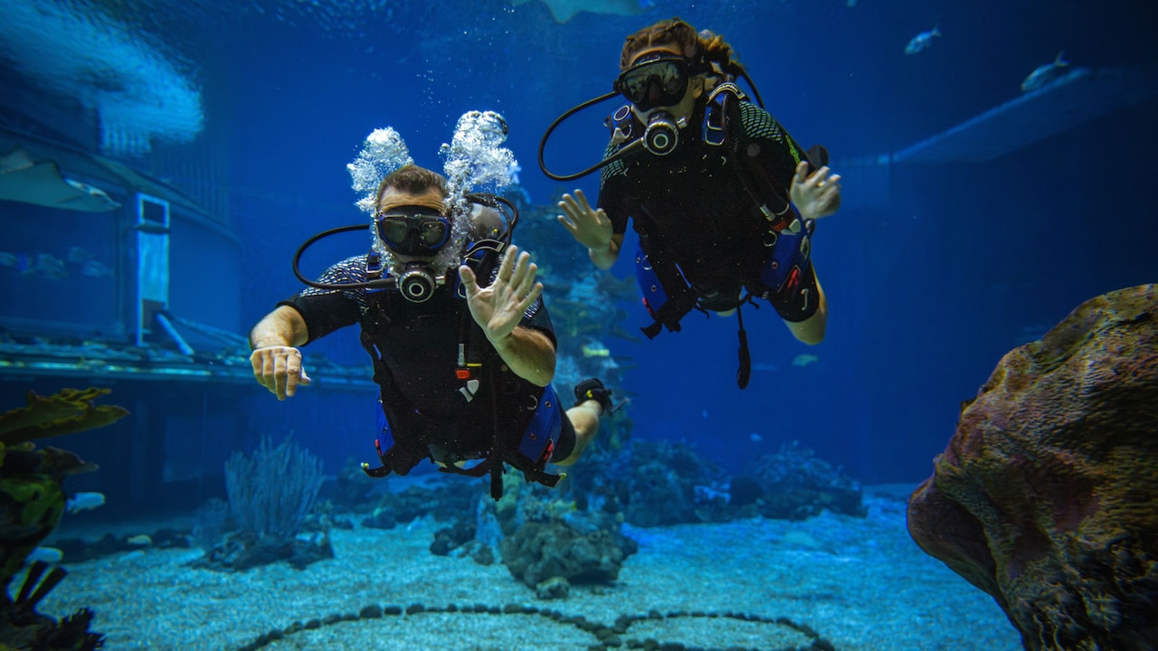 EPCOT Seas Adventures – DiveQuest at Walt Disney World
