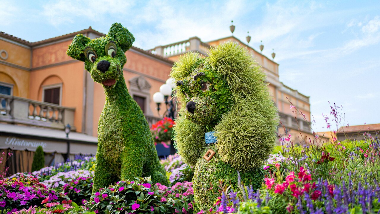 Lady and the Tramp themed topiaries at the Epcot International Flower and Garden Festival