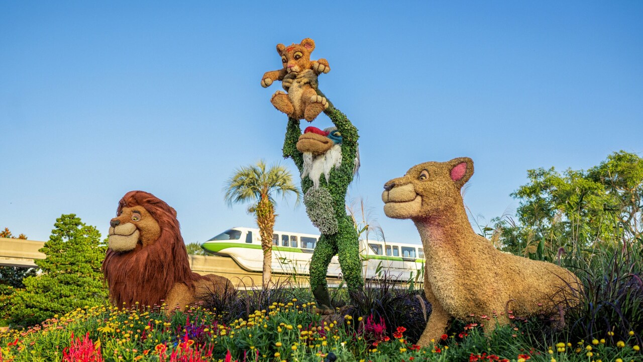 Topiaries of Mufasa, Simba, Rafiki and Sarabi at the Epcot International Flower and Garden Festival