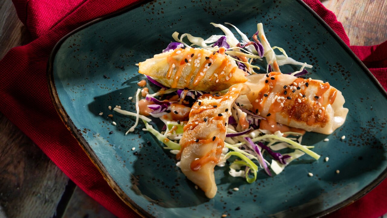 Dumplings Trio, with pan fried chicken, pork and vegetable filling