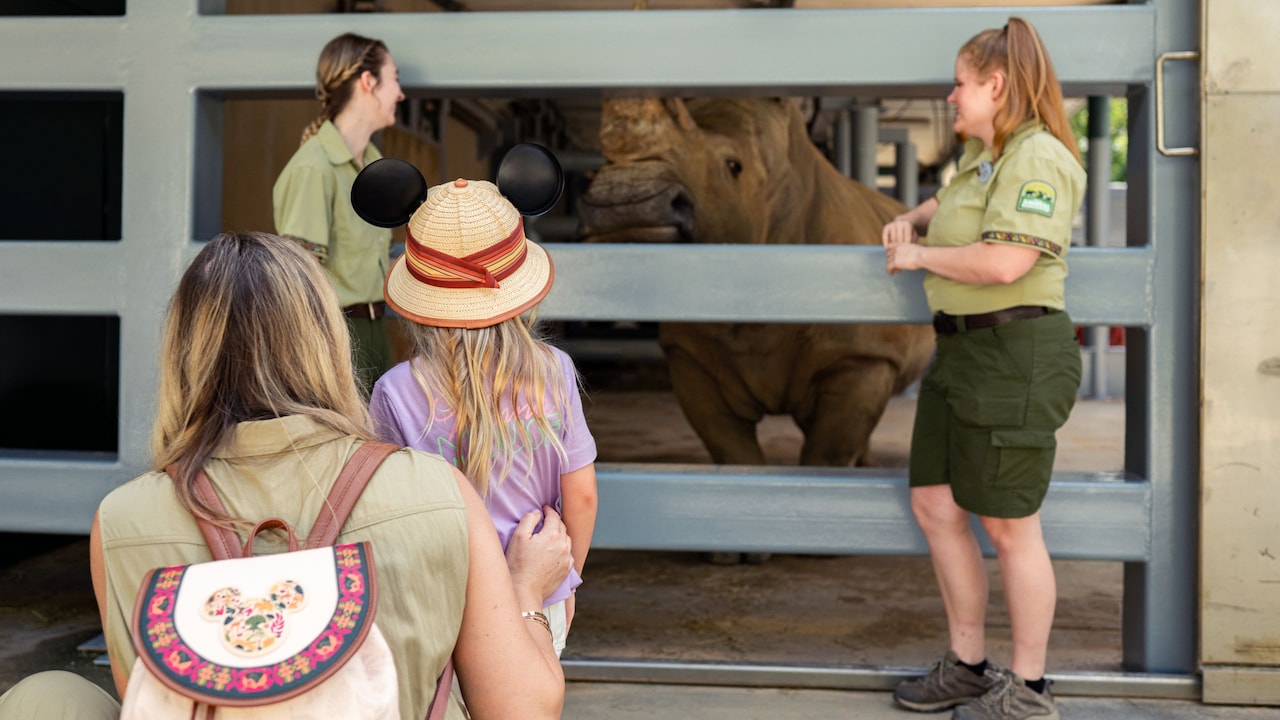 Up Close with Rhinos at Walt Disney World