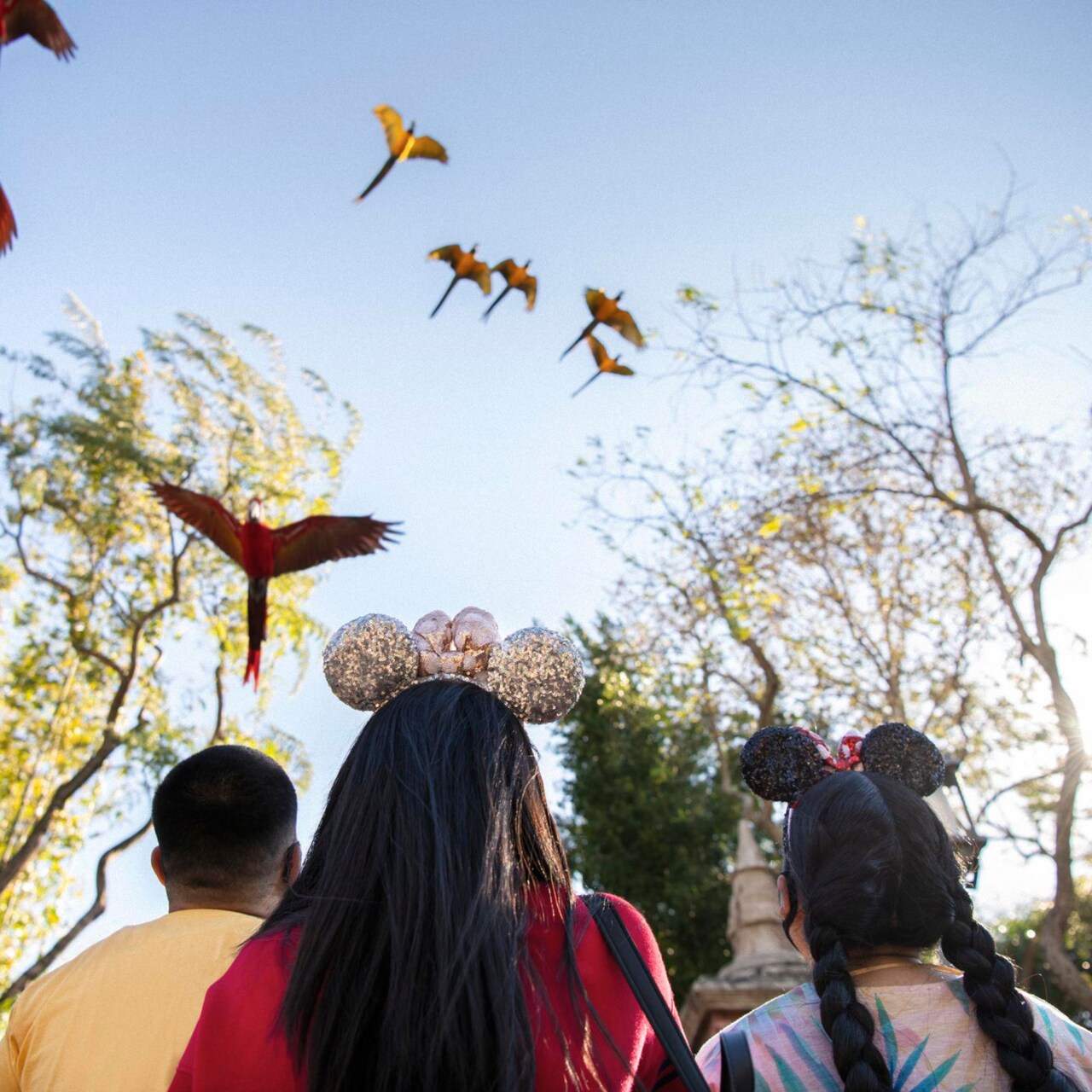 Guests looking upward as a flock of parrots fly overhead at Winged Encounters, The Kingdom Takes Flight
