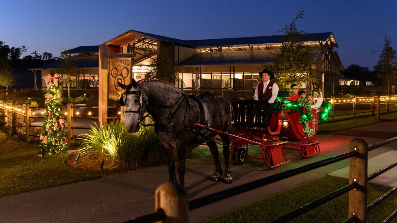 Horse Drawn Excursion - Holiday Sleigh Rides at Walt Disney World