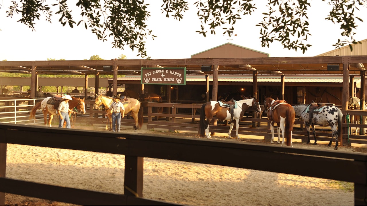 Horseback Riding at Walt Disney World